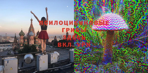 трава Гусь-Хрустальный