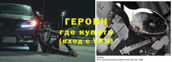 индика Гусев