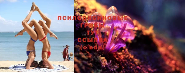 индика Гусев