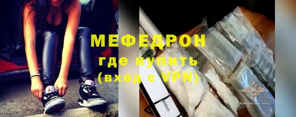 индика Гусев