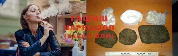 индика Гусев
