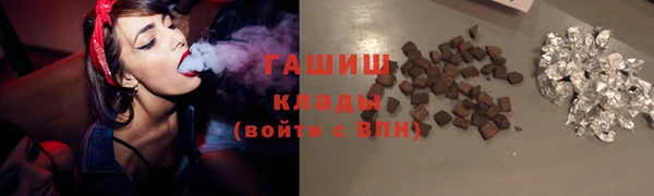 индика Гусев