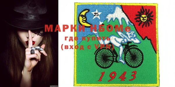 индика Гусев