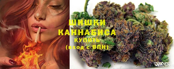 индика Гусев