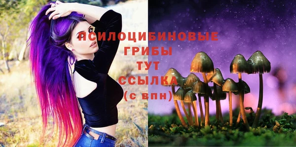 соль курить ск Гусиноозёрск