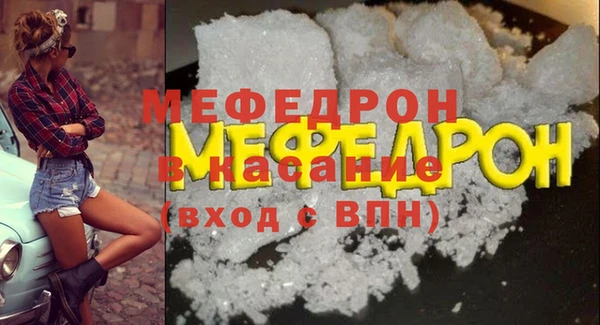 индика Гусев