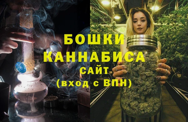 индика Гусев