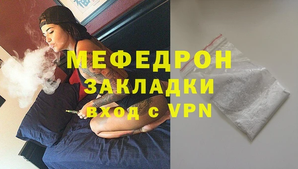 индика Гусев
