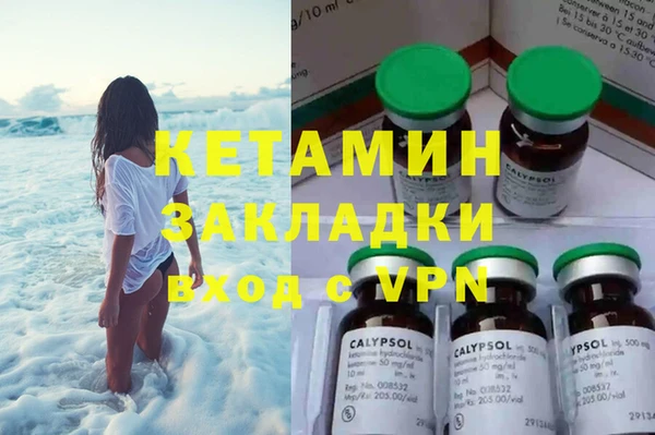 индика Гусев