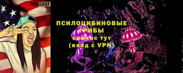 индика Гусев