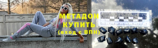 индика Гусев
