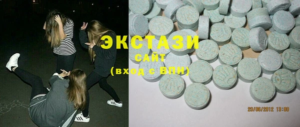 индика Гусев