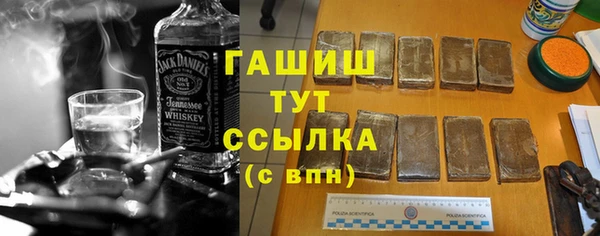 индика Гусев