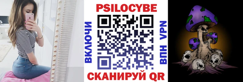 Купить  Похвистнево  Псилоцибиновые грибы Psilocybine cubensis 